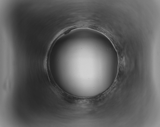 X0000102270100200807251357