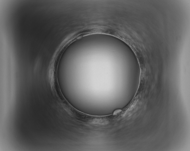 X0000102270101200807251357