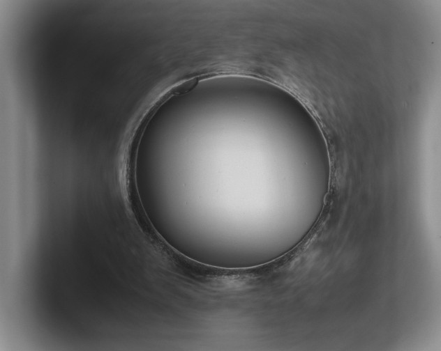 X0000102270103200807251357