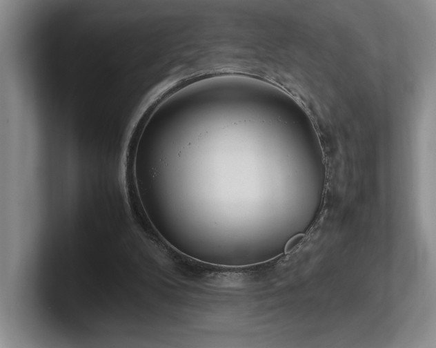 X0000102270104200807251357