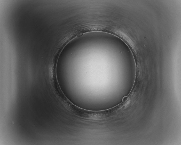 X0000102270105200807251357