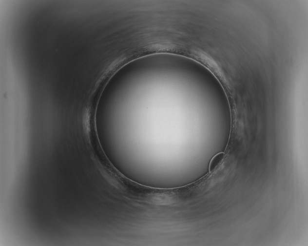 X0000102270106200807251357