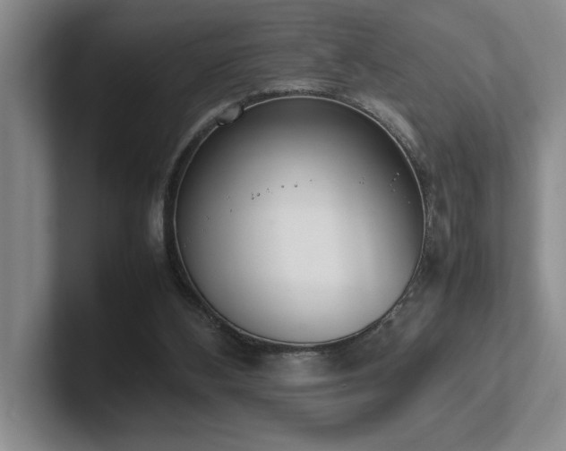 X0000102270108200807251357