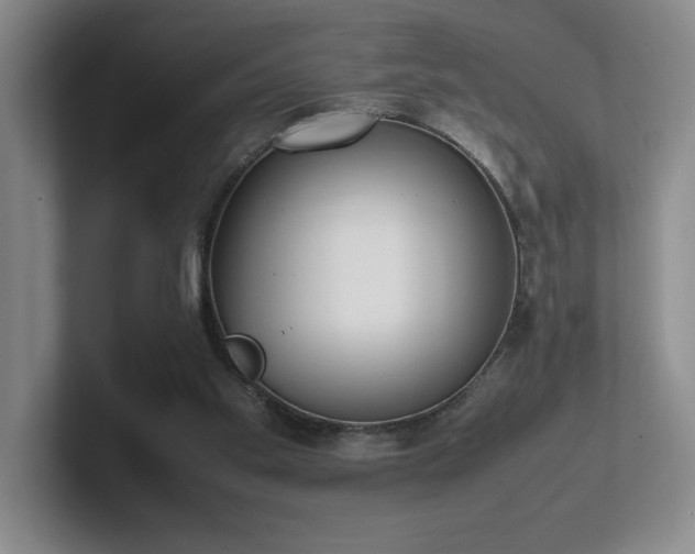 X0000102270109200807251357