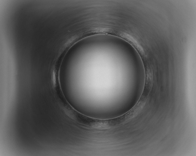 X0000102270110200807251357
