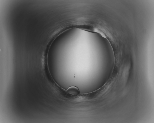X0000102270111200807251357