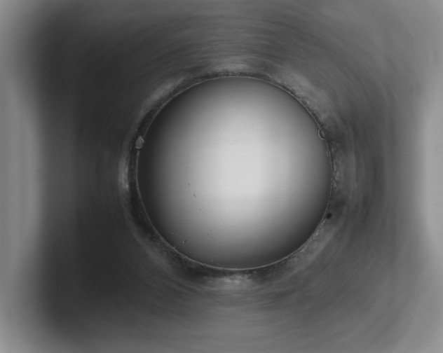 X0000102270112200807251357