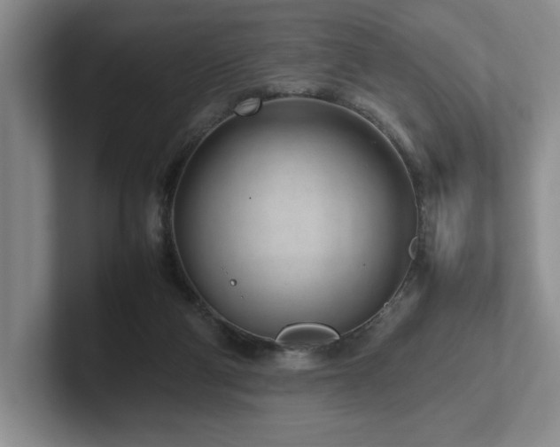 X0000102270114200807251357