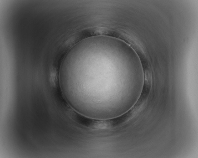 X0000102270127200807251357