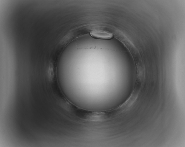 X0000102270128200807251357