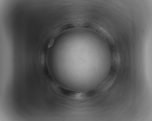 X0000102270130200807251357