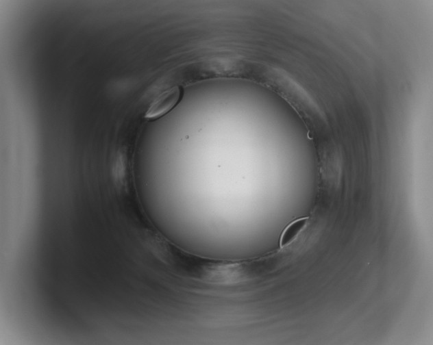 X0000102270132200807251357
