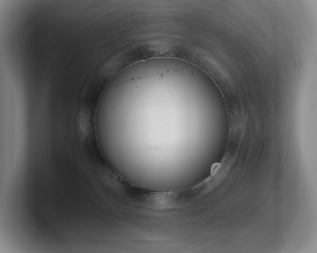 X0000102270136200807251357