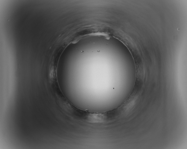 X0000102270137200807251357