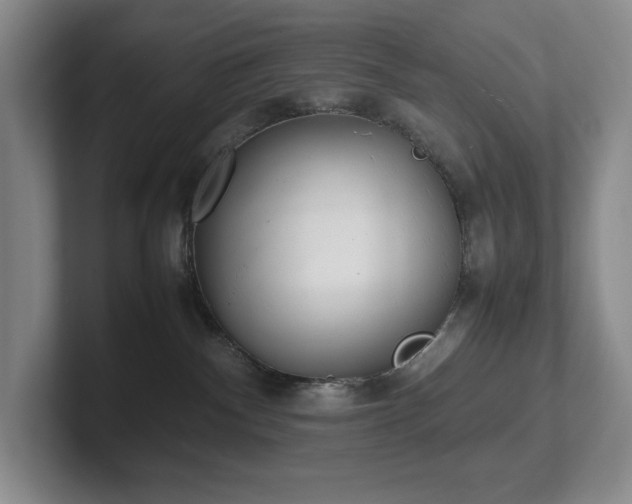X0000102270140200807251357