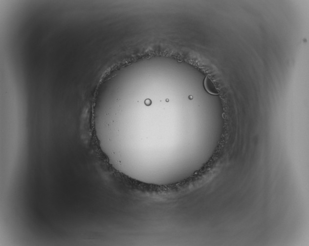 X0000102270144200807251357