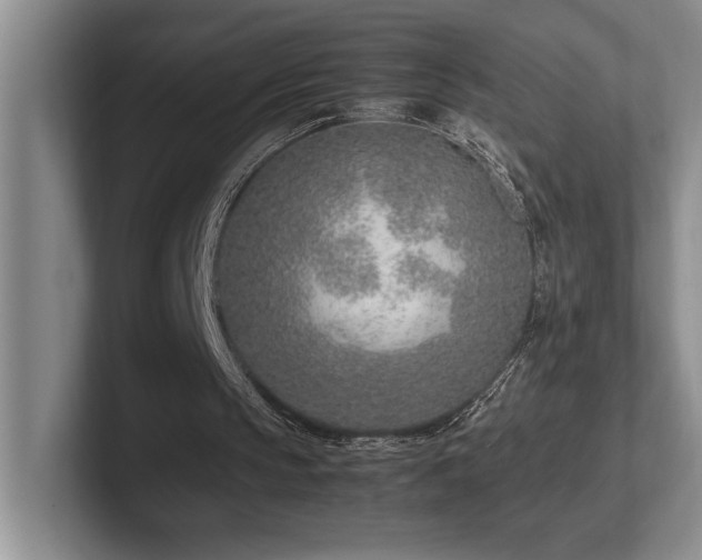 X0000102270145200807251356