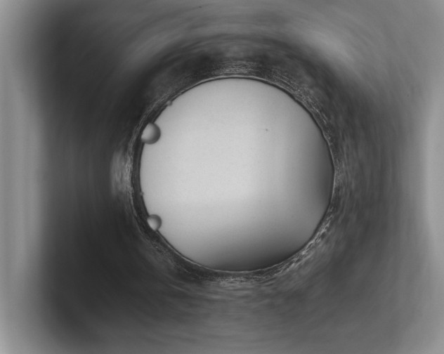 X0000102270146200807251356