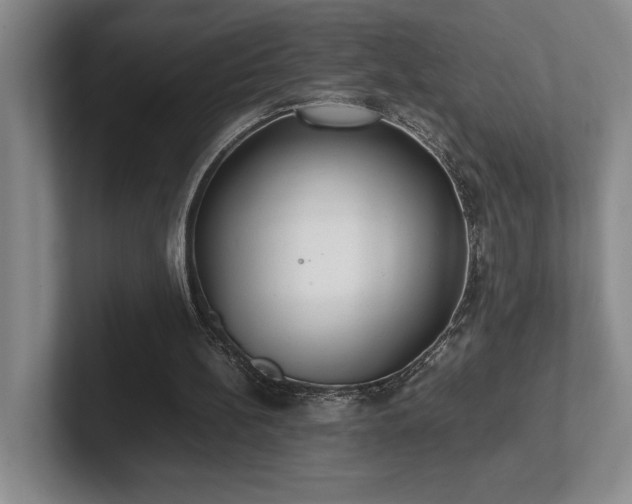 X0000102270148200807251356