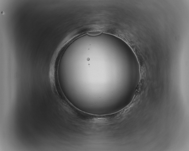 X0000102270150200807251356