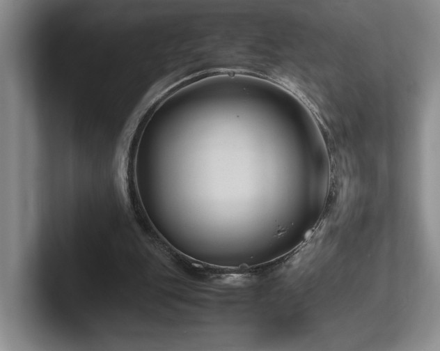 X0000102270151200807251356