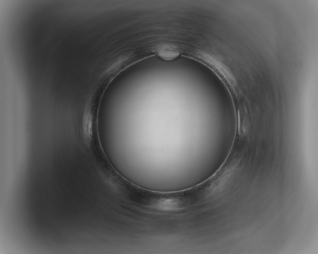 X0000102270157200807251356