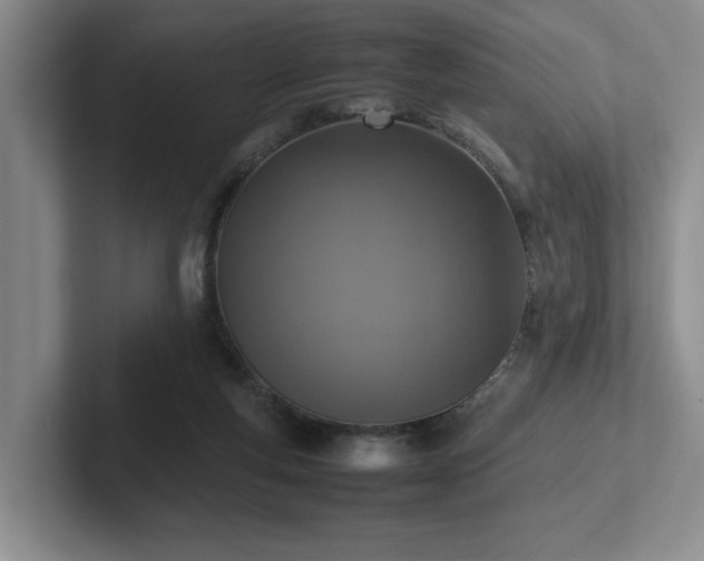 X0000102270163200807251356