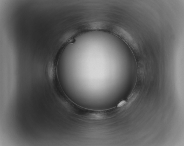 X0000102270164200807251356