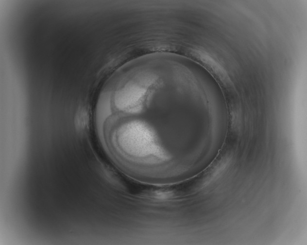 X0000102270165200807251356