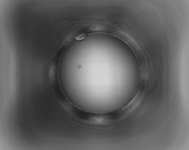 X0000102270171200807251356