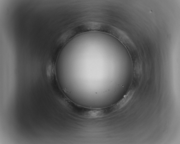 X0000102270172200807251356