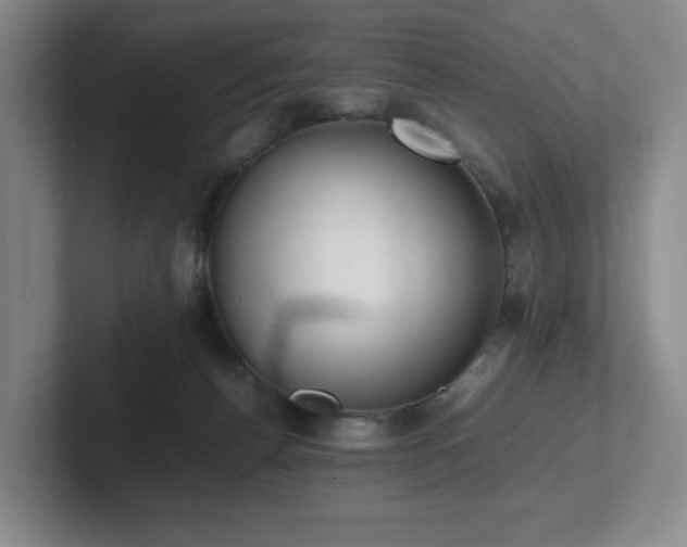 X0000102270176200807251357