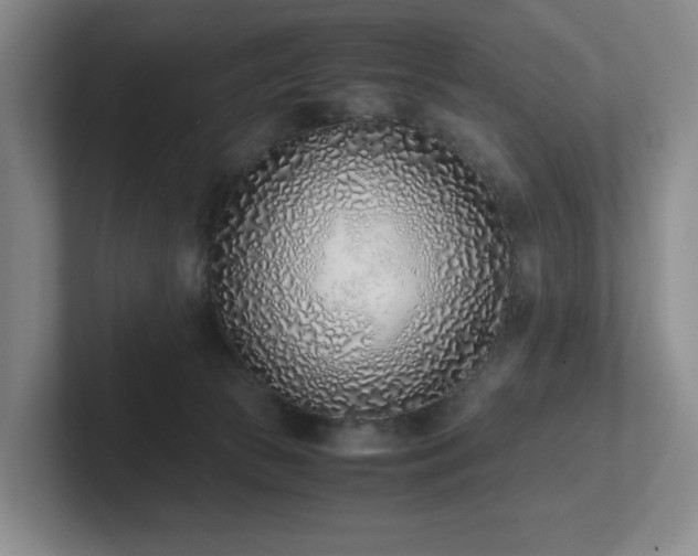 X0000102270177200807251357
