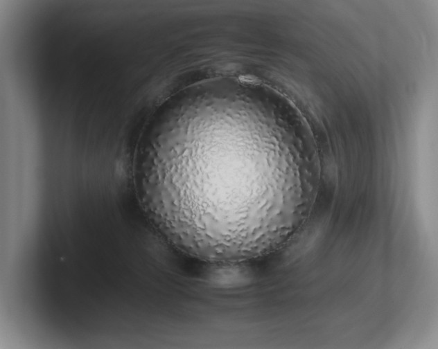 X0000102270181200807251357
