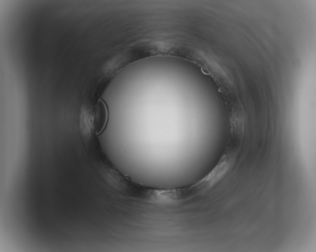X0000102270188200807251357