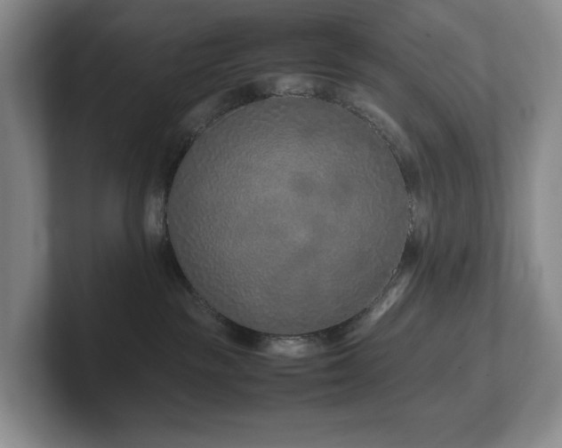 X0000102270189200807251357