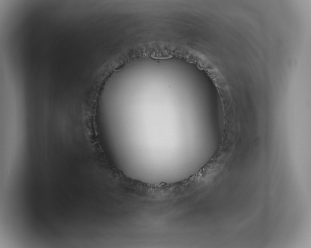 X0000102270192200807251357