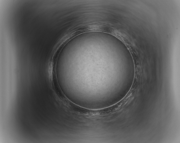 X0000102270194200807251356
