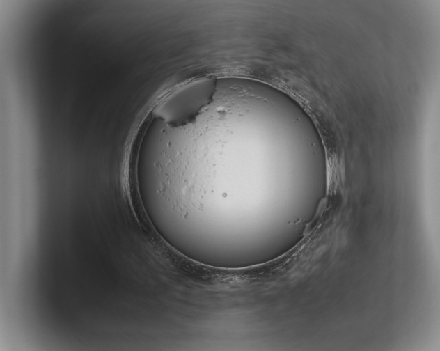 X0000102270195200807251356