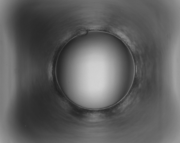 X0000102270201200807251356