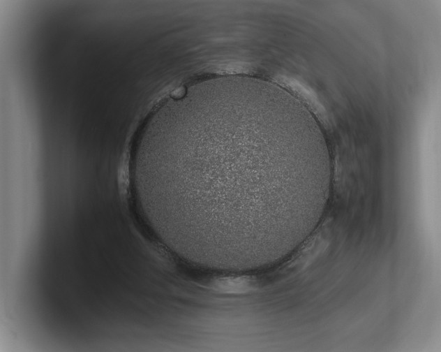 X0000102270202200807251356