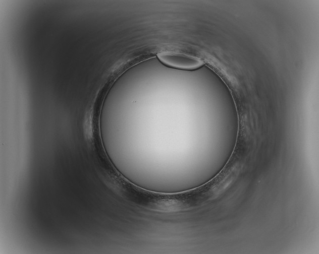 X0000102270203200807251356