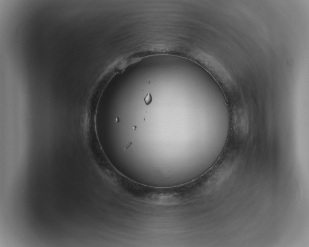X0000102270208200807251356