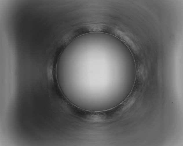 X0000102270209200807251356