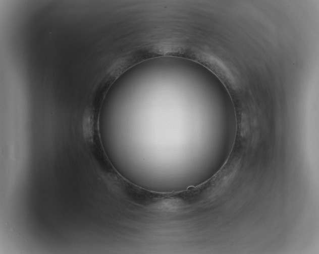 X0000102270210200807251356