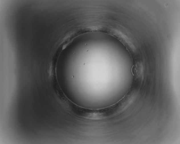 X0000102270212200807251356