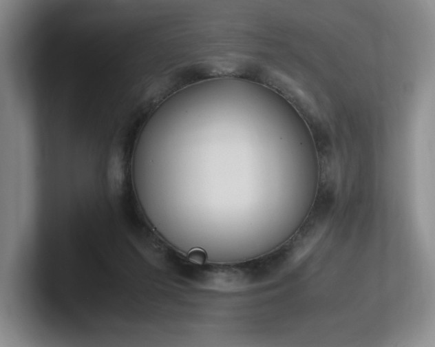 X0000102270215200807251356
