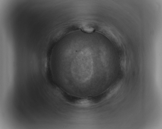 X0000102270219200807251356
