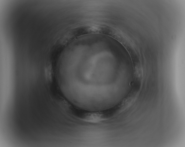 X0000102270223200807251356