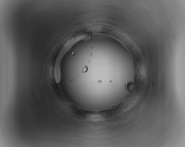X0000102270224200807251356